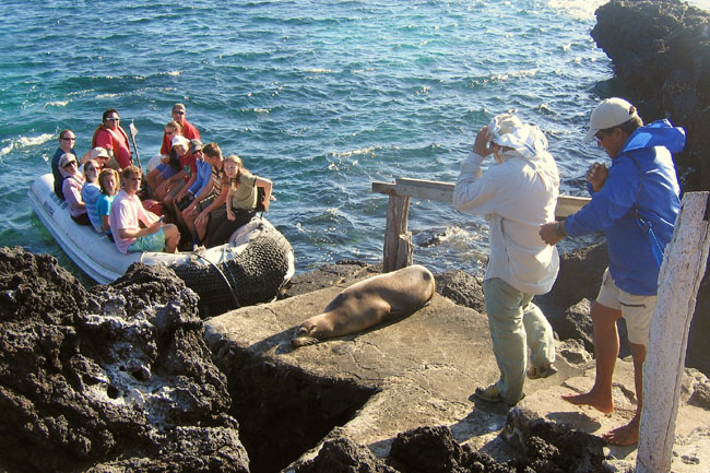 20070806u_Bartolome_SeaLionRoadblock