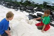 20070802h_SM_EspanolaGardnerBay_BeachPlay
