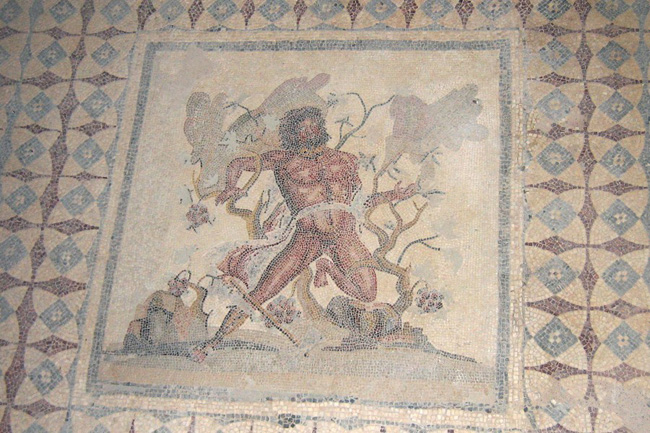 20060327zi_VillaSileenMosaic
